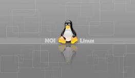 NOI Linux是什么?