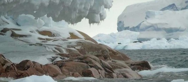 南极冰川融化出现隐藏岛屿：面积5万平米 被命名为Sif