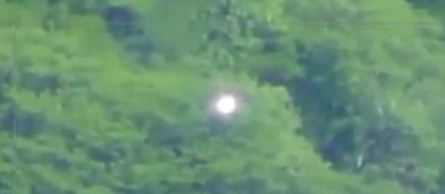 神秘的发光球体在墨西哥森林上空盘旋 科学至今无法解释其原因