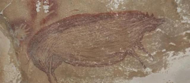 研究人员发现最古老洞穴画 ：画中疣猪可追溯至4万多年前