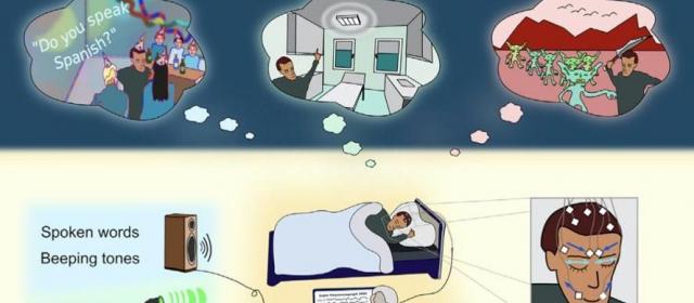 现实版盗梦空间：最新研究发现，与做梦的人进行实时对话是可能的