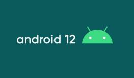 Android 12是什么?