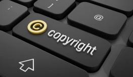 版权保护是什么?