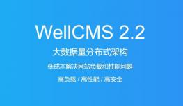 WellCMS 使用 TinyMCE编辑器支持数学公式